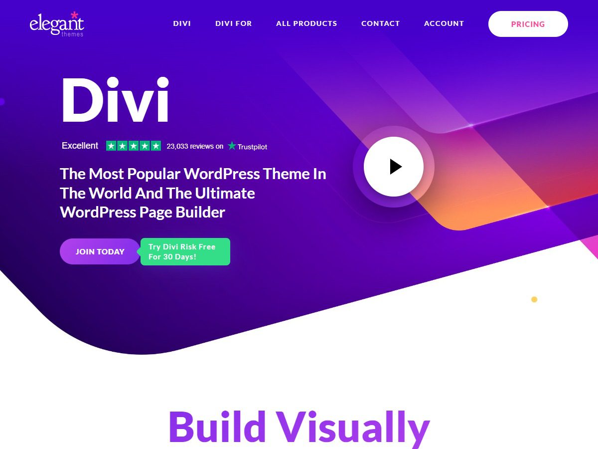 divi 主题