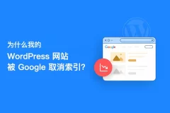 为什么我的 WordPress 网站被 Google 取消索引？