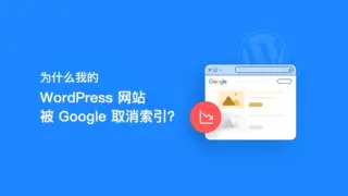 为什么我的 WordPress 网站被 Google 取消索引？