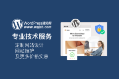 推出 WordPress 专业服务