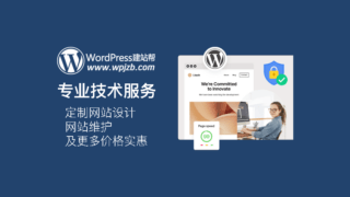 推出 WordPress 专业服务