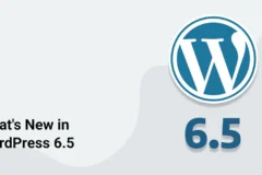 WordPress 6.5 “Regina”正式发布