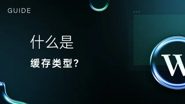什么是缓存类型？